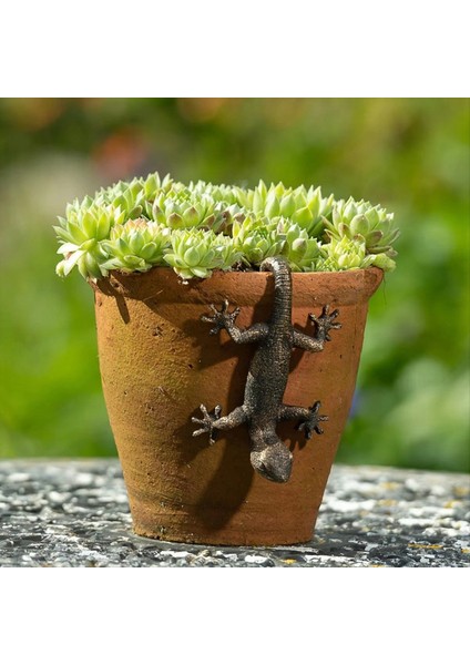 Bahçe Dekoratif Saksı Ortağı Bronz Gecko Jansshore Sak Potu Süspansiyon Dekoratif Süspansiyon Bahçe Süsleri (Yurt Dışından) modelleri