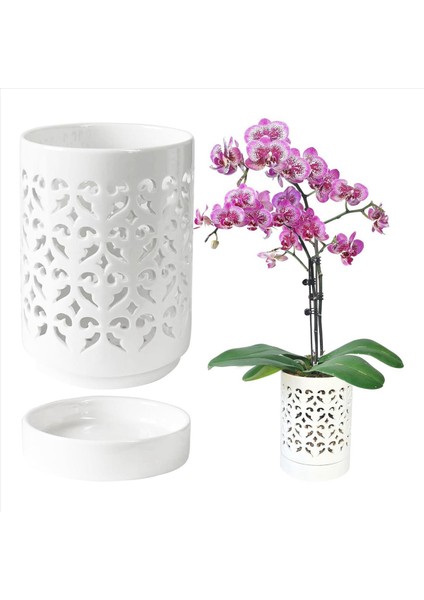 Delikli 3x Orkide Kaplar Repotting Için 4 Inç Seramik Orkide Tencere Çiçek Ekici Tenceresi Açık Nefes Alabilen Beyaz (Yurt Dışından) fiyatları
