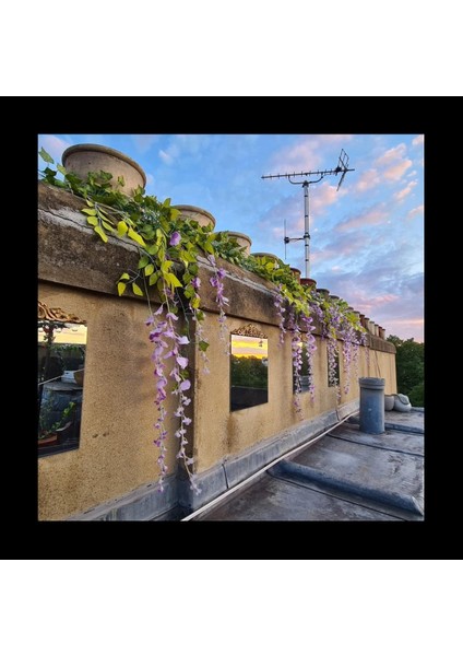 12PCS Ahşap Oyma Çıkarma Ahşap Oyma Mobilya Aplike Köşe Onlay Aplike Mobilya Ev Kapı Dekor Diy (Yurt Dışından) fırsatları