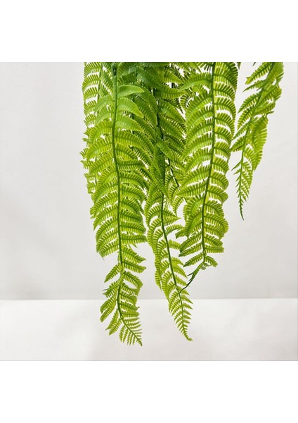 Asılı Yeşil Üzümlerin ve Yeşil Çimenlerin Simülasyonu Sarmaşıklar Sarmaşık Asılı Yeşil Bitkiler Bahçe Duvar Dekorasyonu D (Yurt Dışından) modelleri