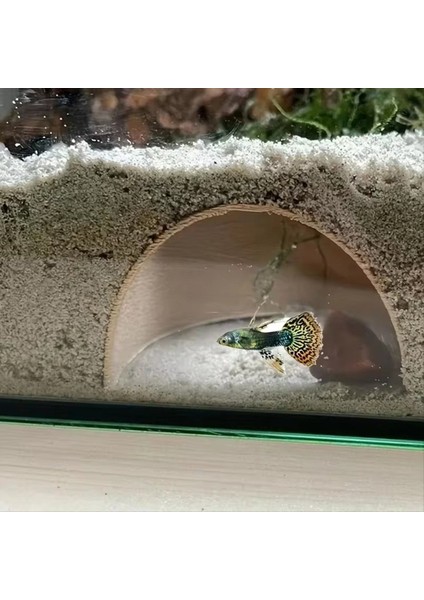 Karides Yetiştirme Koruyucu Mağara Akvaryumu Tüneli Oyun ve Dinlenme Balık Tankı Yaratıcı-Landscape Süsler Yeşil Tip (Yurt Dışından) modelleri