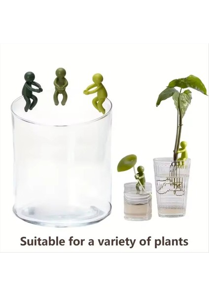 12 Adet Sevimli Bitki Besleyici Dekoratif Bitki Hediye Bitkisi Aksesuarlarını Bitki Yayılma Arkadaşı (Yurt Dışından) fiyatları