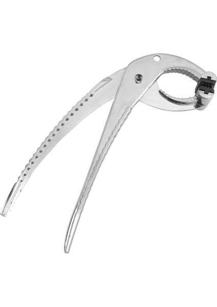 Paslanmaz Çelik Mutfak Tongs Pizza Pan Tavşan Pişirme Tavaları Kavrama Yok Anti Sıcak Pizza Pan Diva Pot Tutucu (Yurt Dışından) fiyatları