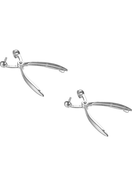 2 Adet Gümüş Metal Kiraz Pitter Zeytin Çukuru Kolay Kaldırıcı Elden Çıkarma Çekirdek Alet Mutfak Meyve Sebze Ceters Pitter (Yurt Dışından)