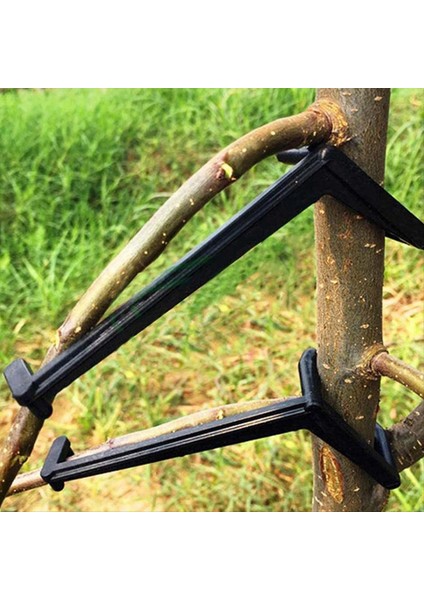 50 Adet Ağaç Şubesi Serpme, Elma ve Diğer Meyve Ağaçlarında Güçlü Dal Için Ağaç Dalı Destek Çerçevesi (Yurt Dışından) fırsatları