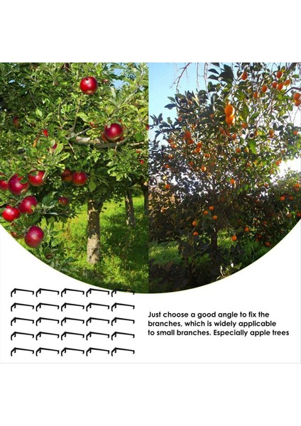 50 Adet Ağaç Şubesi Serpme, Elma ve Diğer Meyve Ağaçlarında Güçlü Dal Için Ağaç Dalı Destek Çerçevesi (Yurt Dışından) indirimleri