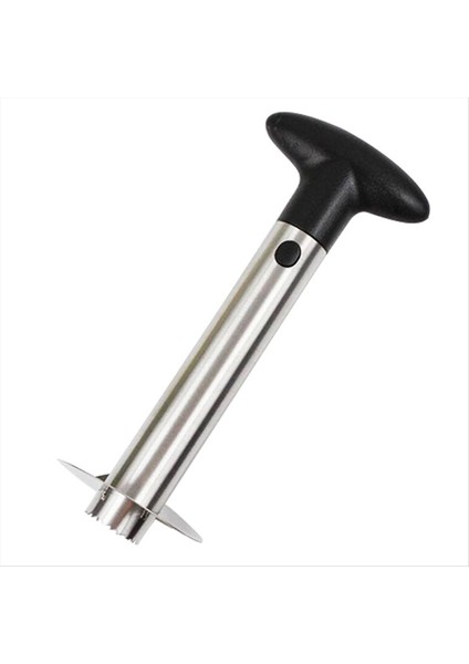 Paslanmaz Çelik Ananas Soyucu, Corer, Dilimleyici ve Kesici - Zahmetsiz Meyve Hazırlığı Için Kolay Mutfak Aracı (Yurt Dışından)