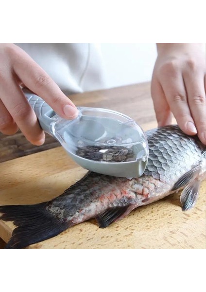 Balık Ölçeği Grater Balık Ölçekleyici Balık Temizleme Aracı Ölçekleyici Kapak Ev Mutfak Yemek Balıkçılık Aracı Beyaz (Yurt Dışından) modelleri