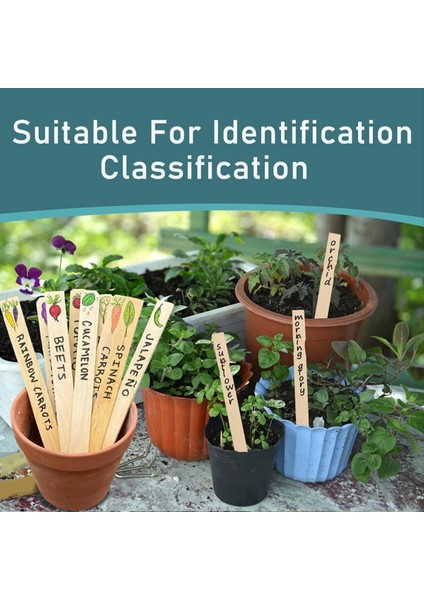 30 Adet Boya Karıştırma Çubukları, 12 Inç Ahşap Boya Karıştırıcıları Karıştırma Için, Kütüphane Işaretleri Veya Bitki Etiketleri Için Boya Çubukları (Yurt Dışından) modelleri