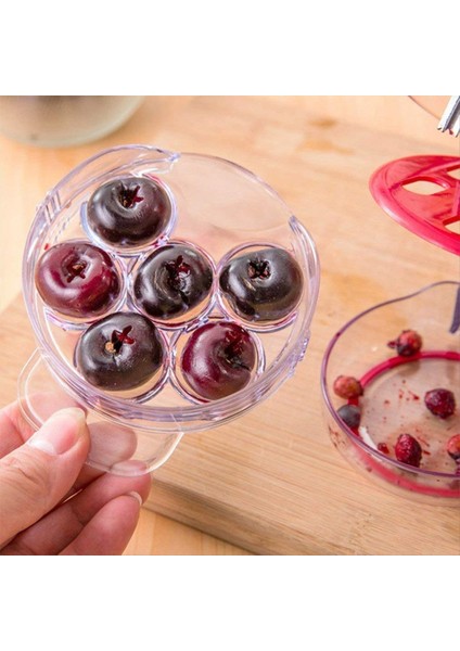 2pcs Kiraz Taşçı Sökücü, Çok Kiraz Pitter Kiraz Taş Tohum Çıkarma Çekirde (Yurt Dışından) indirimleri