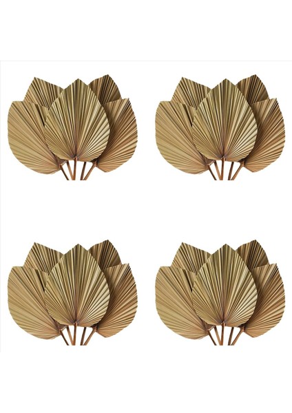 Kurutulmuş Palmiye Oda Dekorunu Bırakır 20 Parça - 18 Inç H x 10INCH W Güzel Bir Boho Görünümü Için Büyük Doğal Palmiye Yaprağı Dekoru (Yurt Dışından)