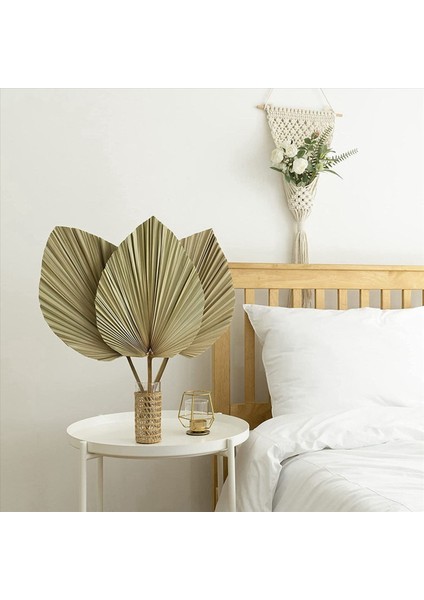 Kurutulmuş Palmiye Oda Dekorunu Bırakır 20 Parça - 18 Inç H x 10INCH W Güzel Bir Boho Görünümü Için Büyük Doğal Palmiye Yaprağı Dekoru (Yurt Dışından) fiyatları