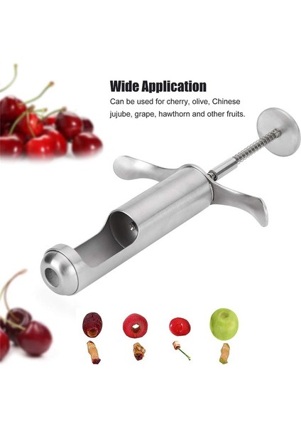 Paslanmaz Çelik Çekirdek Çıkma Aracı Hawthorn Üzüm Kırmızı Tarih De-Nucleator Hawthorn Tohum Çıkarma Aracı Ev Mutfak Aracı (Yurt Dışından) fiyatları