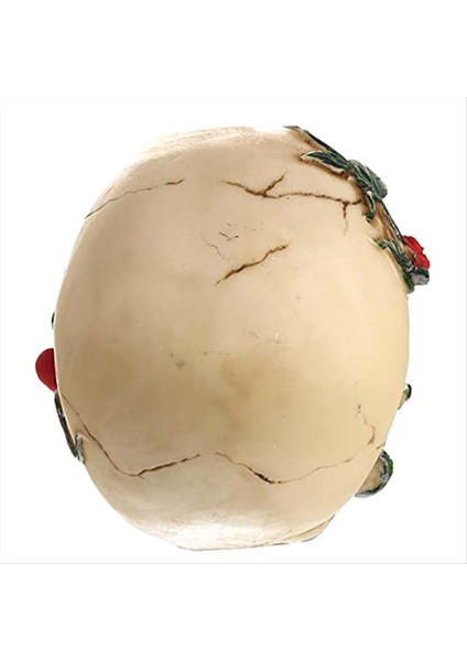 Gül Reçine Heykeli ile Insan Kafatası Küçük Boy Kafa Heykelleri Kafatası Koleksiyon Figürinleri (Yurt Dışından) fırsatları