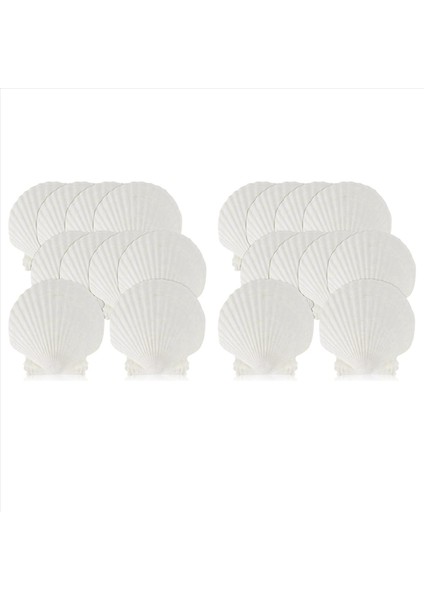 30 Adet Doğal Deniz Kabuğu Büyük Beyaz 4-4 7 Inç Tarak Kabukları Dıy Zanaat Yemek Pişirme ve Daha Fazlası Için (Yurt Dışından)