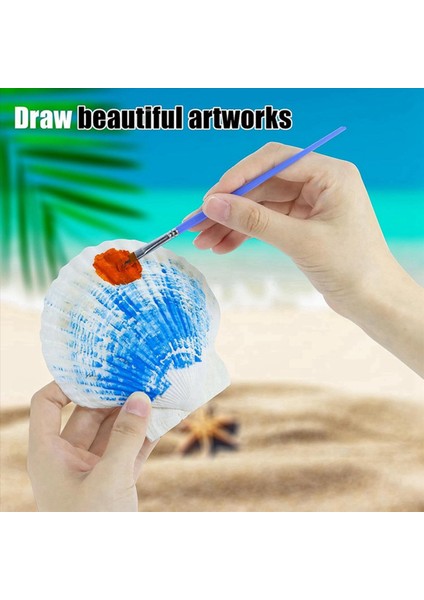 30 Adet Doğal Deniz Kabuğu Büyük Beyaz 4-4 7 Inç Tarak Kabukları Dıy Zanaat Yemek Pişirme ve Daha Fazlası Için (Yurt Dışından) fiyatları