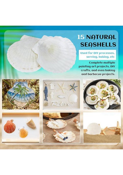 30 Adet Doğal Deniz Kabuğu Büyük Beyaz 4-4 7 Inç Tarak Kabukları Dıy Zanaat Yemek Pişirme ve Daha Fazlası Için (Yurt Dışından) fırsatları