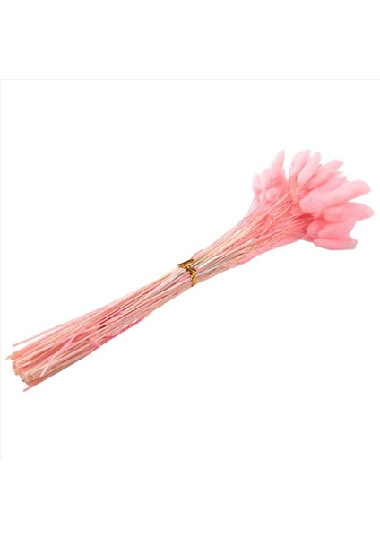 60PCS Sonbahar Kurutulmuş Çiçekler Tavşan Kuyrukları Kurutulmuş Çiçekler Lagurus Ovatus Tavşan Kuyruk Çim Kurutulmuş Çiçek (Pembe) (Yurt Dışından)