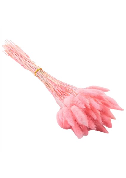 60PCS Sonbahar Kurutulmuş Çiçekler Tavşan Kuyrukları Kurutulmuş Çiçekler Lagurus Ovatus Tavşan Kuyruk Çim Kurutulmuş Çiçek (Pembe) (Yurt Dışından) modelleri