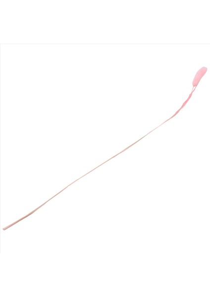 60PCS Sonbahar Kurutulmuş Çiçekler Tavşan Kuyrukları Kurutulmuş Çiçekler Lagurus Ovatus Tavşan Kuyruk Çim Kurutulmuş Çiçek (Pembe) (Yurt Dışından) fırsatları