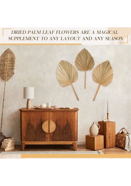 8pcs Kurutulmuş Palmiye Yaprakları Dekorasyonlar Kesilmiş Kurutulmuş Palmiye Mızrak Fanları Tropikal Kurutulmuş Düğün Çiçekleri Boho Düğün Dekoru (Yurt Dışından) fırsatları