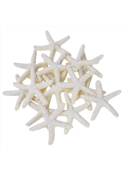 90 Adet Kremsi-Beyaz Kalem Parmak Denizyıldızı Düğün Dekoru Ev Dekoru ve Zanaat Projesi Için (Yurt Dışından) fiyatları