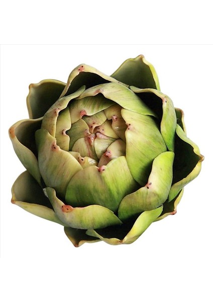 12PCS Yeşil Yapay Enginar Plastik Plastik Çiçek Enginar Ev Düğünü Masa Dekorasyon (Yurt Dışından) fiyatları