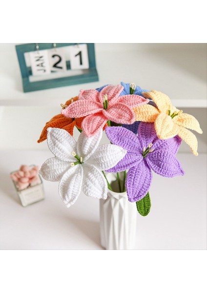 El Örtüsü Lily Anne &#39 Günü Hediye Tulip Gül Tığit (Yurt Dışından) fırsatları