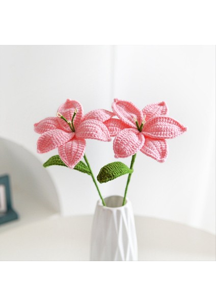 El Örtüsü Lily Anne &#39 Günü Hediye Tulip Gül Tığit (Yurt Dışından) indirimleri