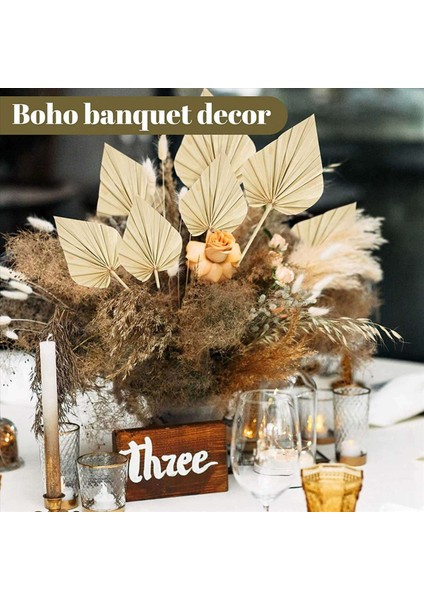 40PCS Boho Kurutulmuş Palmiye Mızrak Yaprakları Küçük Kurutulmuş Gerçek Palmiye Fanları Kuru Kurutulmuş Yaprak Dekor Vazo ile Kurutulmuş Palmiye Yaprakları (Yurt Dışından) fiyatları