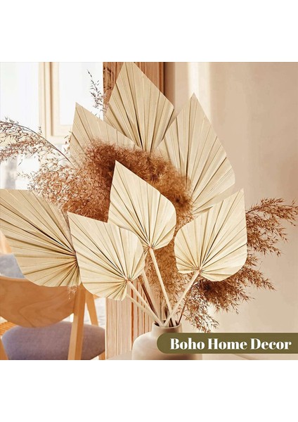 40PCS Boho Kurutulmuş Palmiye Mızrak Yaprakları Küçük Kurutulmuş Gerçek Palmiye Fanları Kuru Kurutulmuş Yaprak Dekor Vazo ile Kurutulmuş Palmiye Yaprakları (Yurt Dışından) fırsatları