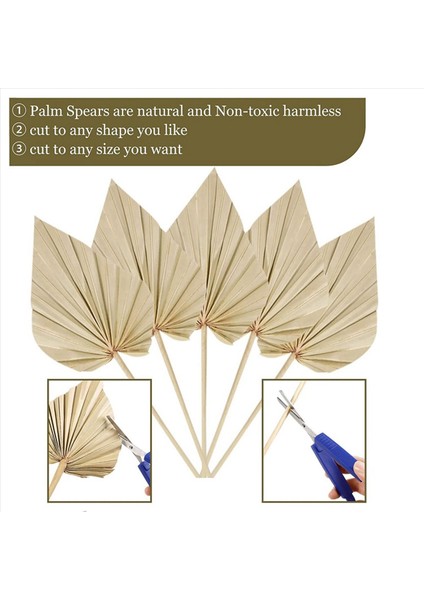 40PCS Boho Kurutulmuş Palmiye Mızrak Yaprakları Küçük Kurutulmuş Gerçek Palmiye Fanları Kuru Kurutulmuş Yaprak Dekor Vazo ile Kurutulmuş Palmiye Yaprakları (Yurt Dışından) indirimleri