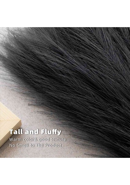 Pampas Çim 18IN/45CM Yapay Pampas Çim Kabarık 10 Boho Home (Siyah) Için Çim Çiçek Düzenlemesi (Yurt Dışından) modelleri