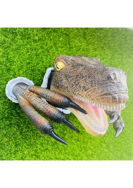 Velociraptor Heykel Duvarı Reçinesi Dinozor Kafası Heykel Duvarı Kapalı ve Dış Mekan Dinozoru Için Asılı Süsleme (Yurt Dışından) fiyatları