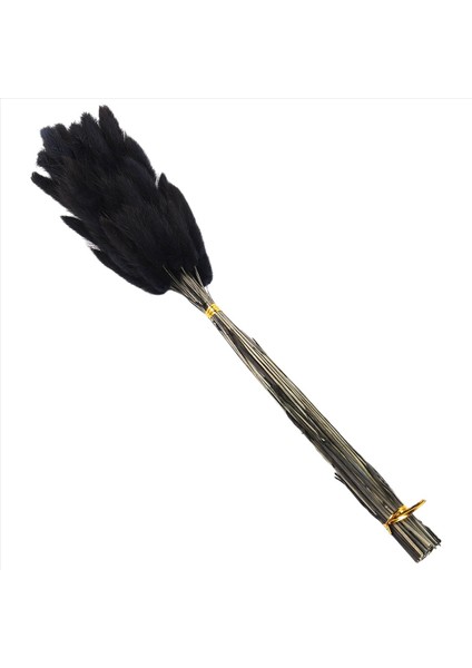 60PCS Sonbahar Kurutulmuş Çiçekler Tavşan Kuyrukları Kurutulmuş Çiçekler Lagurus Ovatus Tavşan Kuyruk Çim Kurutulmuş Çiçek (Siyah) (Yurt Dışından) modelleri