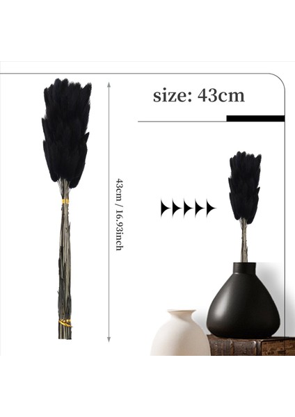 60PCS Sonbahar Kurutulmuş Çiçekler Tavşan Kuyrukları Kurutulmuş Çiçekler Lagurus Ovatus Tavşan Kuyruk Çim Kurutulmuş Çiçek (Siyah) (Yurt Dışından) fırsatları