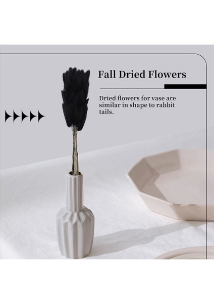 60PCS Sonbahar Kurutulmuş Çiçekler Tavşan Kuyrukları Kurutulmuş Çiçekler Lagurus Ovatus Tavşan Kuyruk Çim Kurutulmuş Çiçek (Siyah) (Yurt Dışından) indirimleri