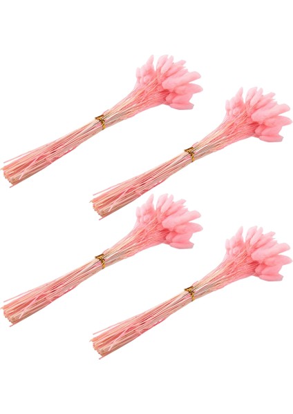 240PCS Sonbahar Kurutulmuş Çiçekler Tavşan Kuyruklar Kuru Çiçekler Lagurus Ovatus Tavşan Kuyruk Çim Kurutulmuş Çiçek (Pembe) (Yurt Dışından)