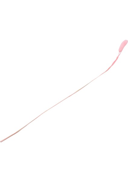 240PCS Sonbahar Kurutulmuş Çiçekler Tavşan Kuyruklar Kuru Çiçekler Lagurus Ovatus Tavşan Kuyruk Çim Kurutulmuş Çiçek (Pembe) (Yurt Dışından) fırsatları