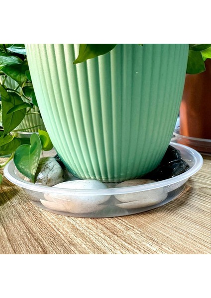 6 Paket Berrak Bitki Tabağı 12 Inç Plastik Bitki Tabakları Kapalı Açık Bahçe Için Dayanıklı Daha Kalın Bitki Tepsisi Saksı Saksı (Yurt Dışından) modelleri