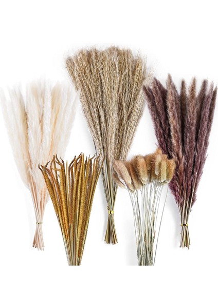 120PCS Kurutulmuş Pampas Çim Buket Dekor Boho Ev Odası Düğün Partisi Düzenlemeleri Sonbahar Kuru Çiçek Demetleri Toplu Uzun (Yurt Dışından)