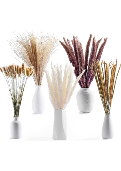 120PCS Kurutulmuş Pampas Çim Buket Dekor Boho Ev Odası Düğün Partisi Düzenlemeleri Sonbahar Kuru Çiçek Demetleri Toplu Uzun (Yurt Dışından) fiyatları