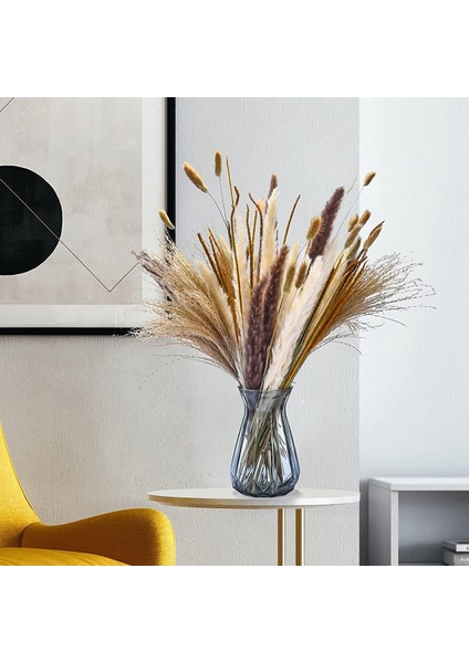 120PCS Kurutulmuş Pampas Çim Buket Dekor Boho Ev Odası Düğün Partisi Düzenlemeleri Sonbahar Kuru Çiçek Demetleri Toplu Uzun (Yurt Dışından) modelleri