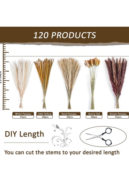 120PCS Kurutulmuş Pampas Çim Buket Dekor Boho Ev Odası Düğün Partisi Düzenlemeleri Sonbahar Kuru Çiçek Demetleri Toplu Uzun (Yurt Dışından) indirimleri
