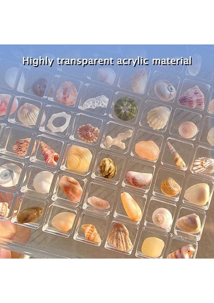 Akrilik Manyetik Deniz Kehresi Ekran Kutusu Elmas Taş Boncukları Depolama Ekran Organizatör Kutusu Şebeke Açık Akrilik Seashell E (Yurt Dışından) fiyatları