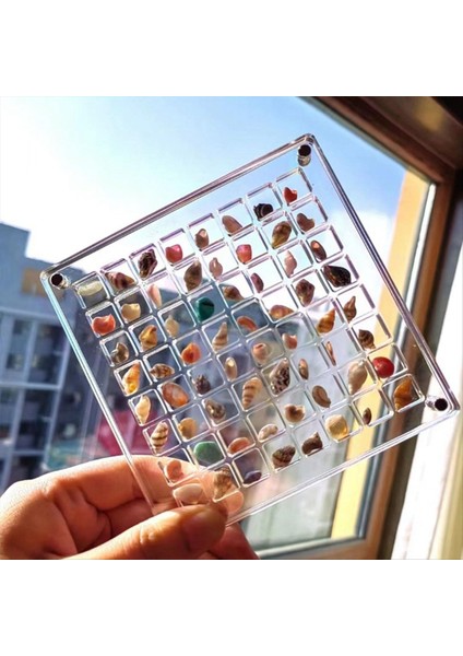 Akrilik Manyetik Deniz Kehresi Ekran Kutusu Elmas Taş Boncukları Depolama Ekran Organizatör Kutusu Şebeke Açık Akrilik Seashell E (Yurt Dışından) fırsatları