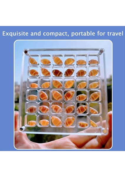 Akrilik Manyetik Deniz Kehresi Ekran Kutusu Elmas Taş Boncukları Depolama Ekran Organizatör Kutusu Şebeke Açık Akrilik Seashell E (Yurt Dışından) indirimleri