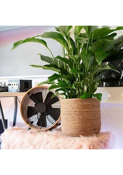 Seagrass Saksı - Dokuma Bitki Tenceresi - Boho Tarzında Plastik Film Ekli Dekoratif Bitki Sepeti M (Yurt Dışından) fiyatları