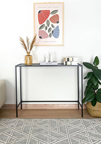 Metal Dresuar Siyah Renkli Şeffaf Camlı Modern Tasarım 100x30x78 cm