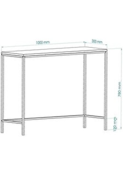 Metal Dresuar Siyah Renkli Şeffaf Camlı Modern Tasarım 100x30x78 cm